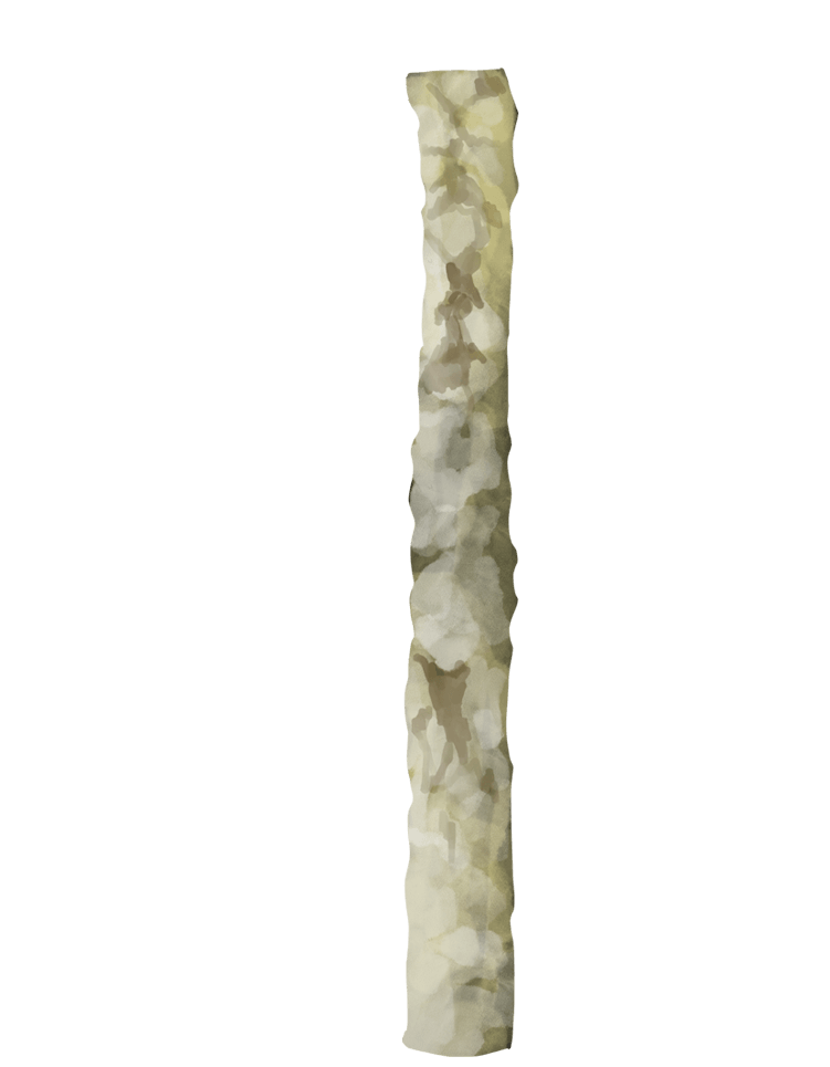 tucán